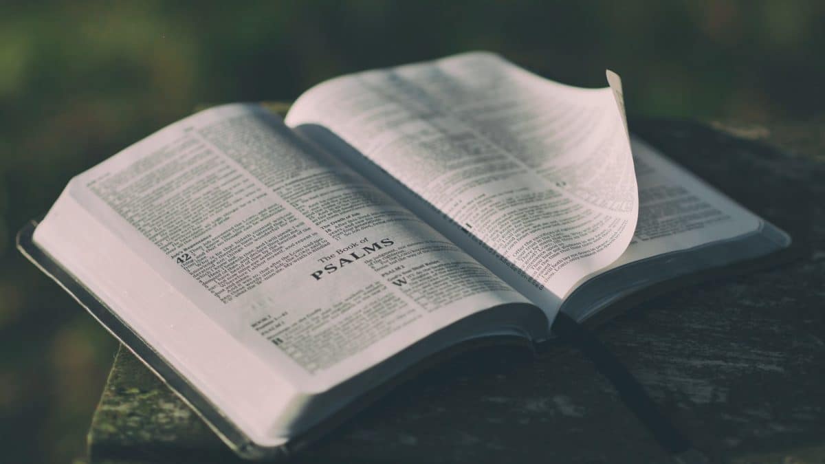 Elements of Christianity for New Christians